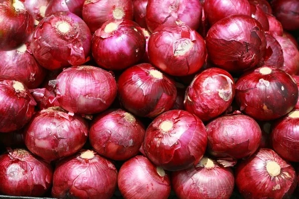 Fresh onions